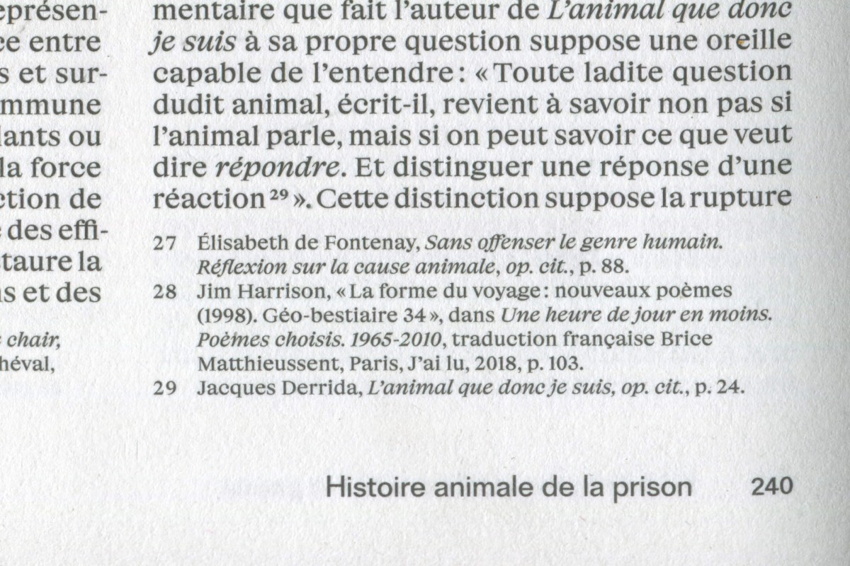 histoireanimale-scan-02