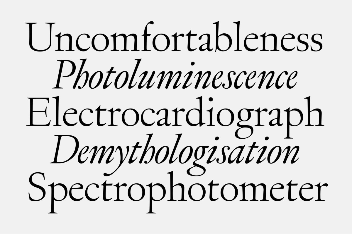 specimen_web-jargon-25062810