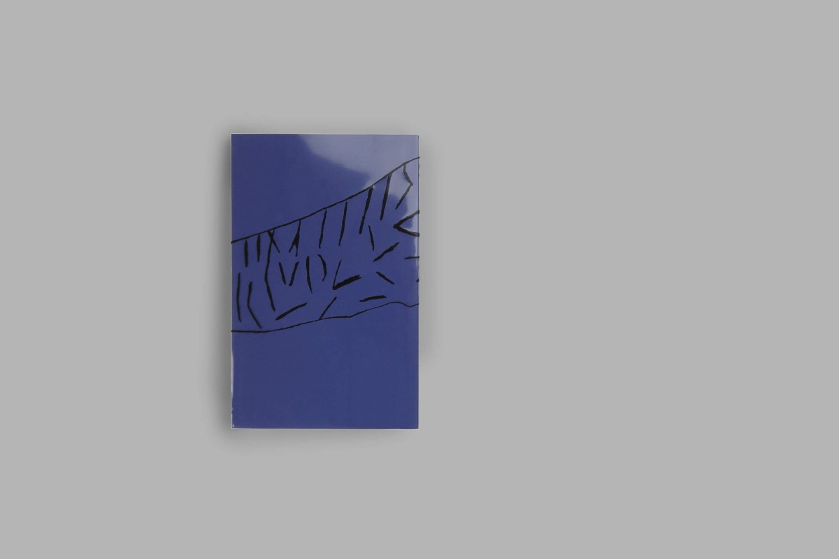 tigre-papillon_08