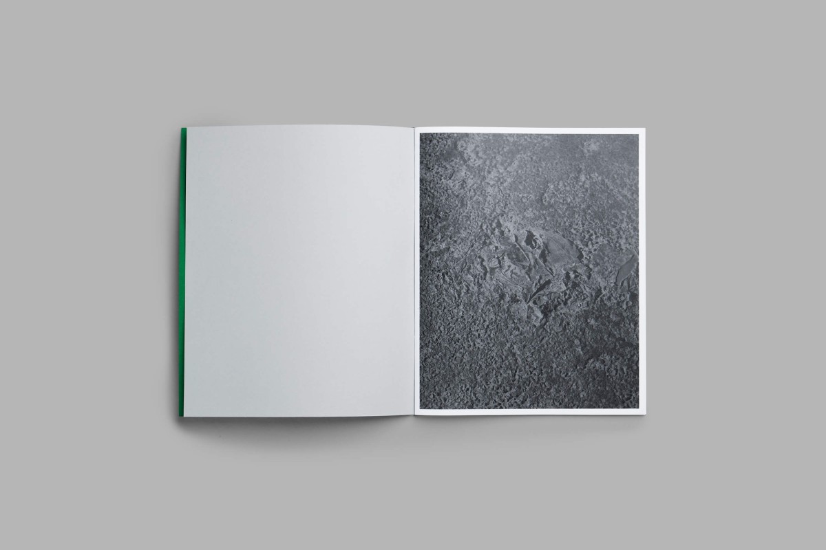 les_cicatrices-02