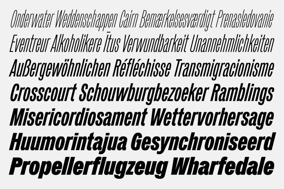 specimen_web-mars-25123013