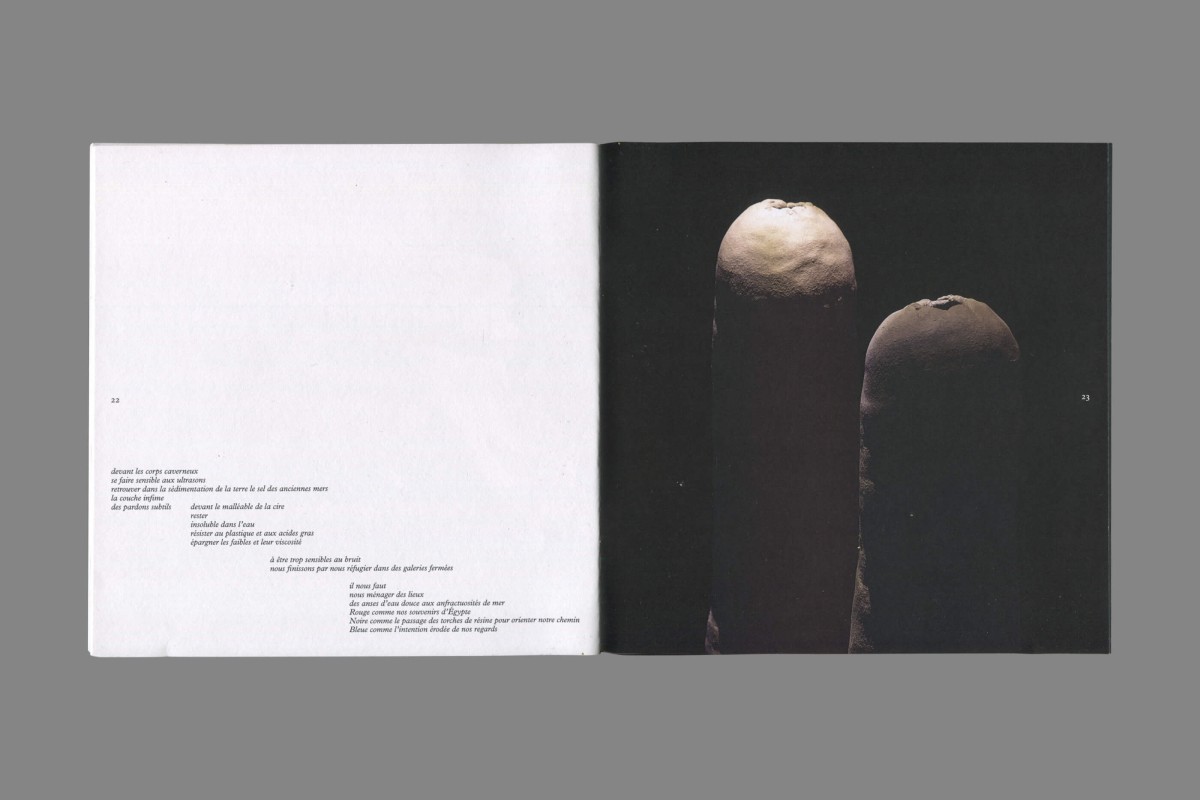 scan-full-7